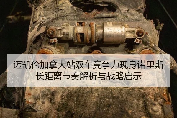 mai-kai-lun-jia-na-da-zhan-shuang-che-jing-zheng-li-xian-shen-nuo-li-si-zhang-ju-li-jie-zou-jie-xi-yu-zhan-lve-qi-shi-2-889.jpg